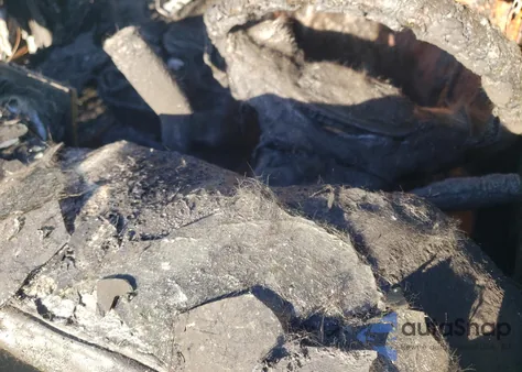 2023 GMC Sierra K1500 Elevation from USA, damaged, VIN 1GTPUCEK7PZ116655